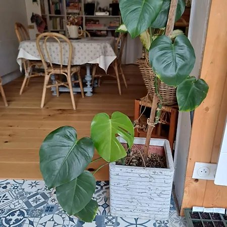 別荘 Maison Au Calme