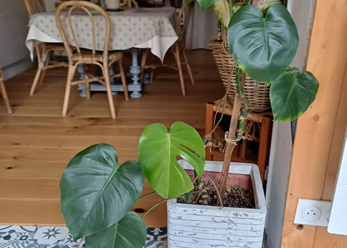 別荘 Maison Au Calme